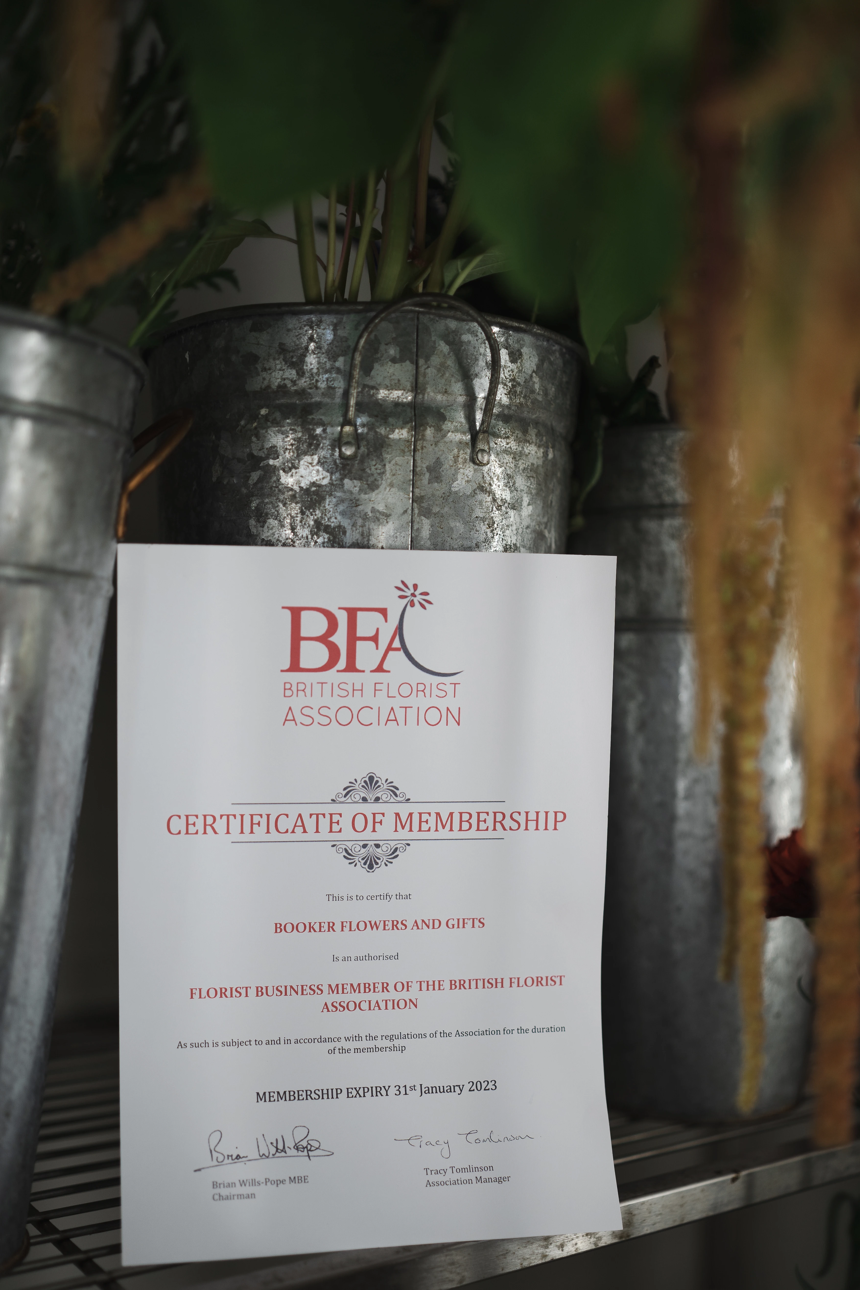 BFA Certificate 